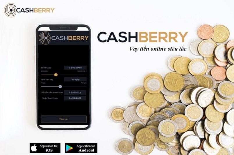 Cashberry là gì? Giới thiệu thông tin tổng quan về app vay online Cashberry